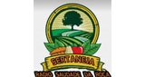 Radio Saudade Da Roça (Ribeirão Preto) 